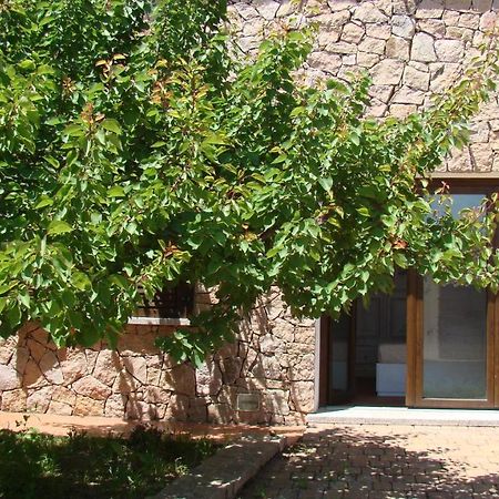 شقة Bella Casa Con Giardino A 10 Minuti Dal Mare أغلينتو المظهر الخارجي الصورة