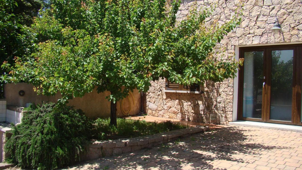 شقة Bella Casa Con Giardino A 10 Minuti Dal Mare أغلينتو المظهر الخارجي الصورة